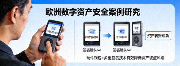 欧洲数字资产安全案例研究，展示了欧洲用户使用硬件钱包和多重签名技术保护资产的场景